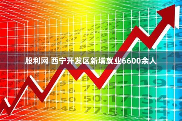 股利网 西宁开发区新增就业6600余人
