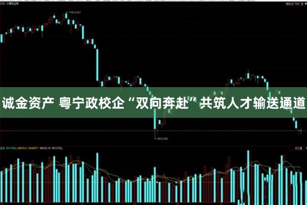 诚金资产 粤宁政校企“双向奔赴”共筑人才输送通道
