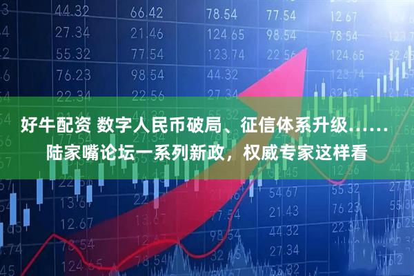 好牛配资 数字人民币破局、征信体系升级…… 陆家嘴论坛一系列新政，权威专家这样看