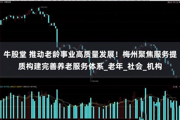 牛股堂 推动老龄事业高质量发展！梅州聚焦服务提质构建完善养老服务体系_老年_社会_机构