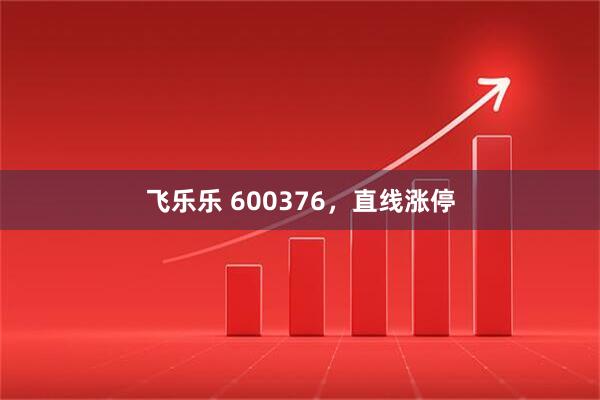 飞乐乐 600376，直线涨停